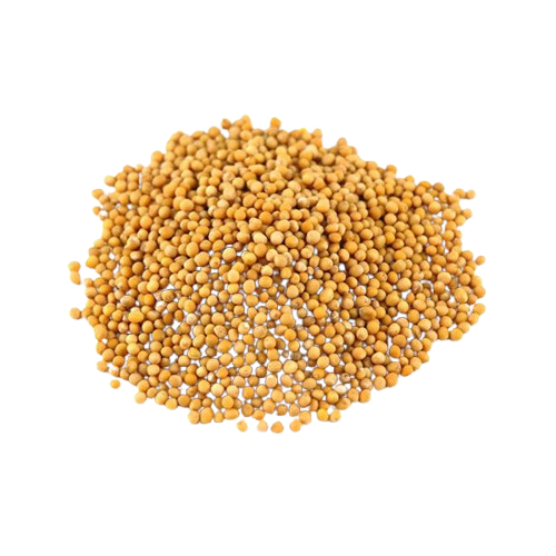 Yellow Mustard Seed