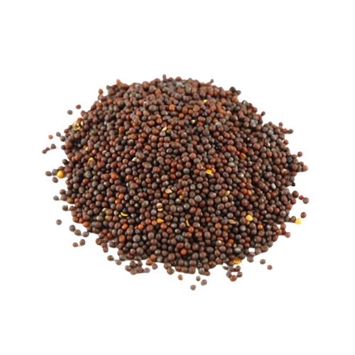 Brown Mustard Seed