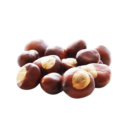 Buckeye Horse Chestnut