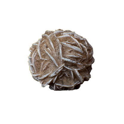 Desert Rose Selenite