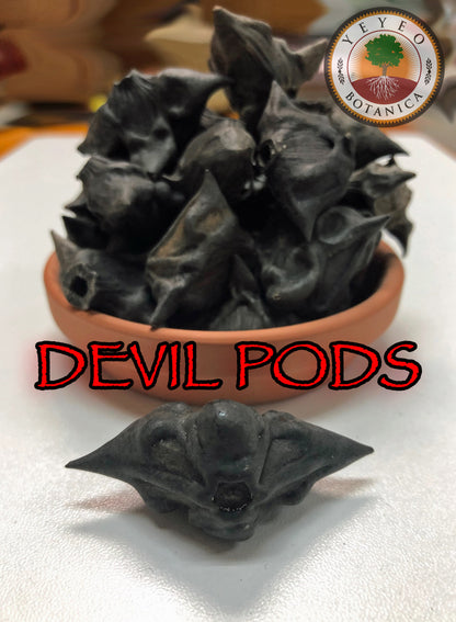 Devil Pods-Bat Nuts