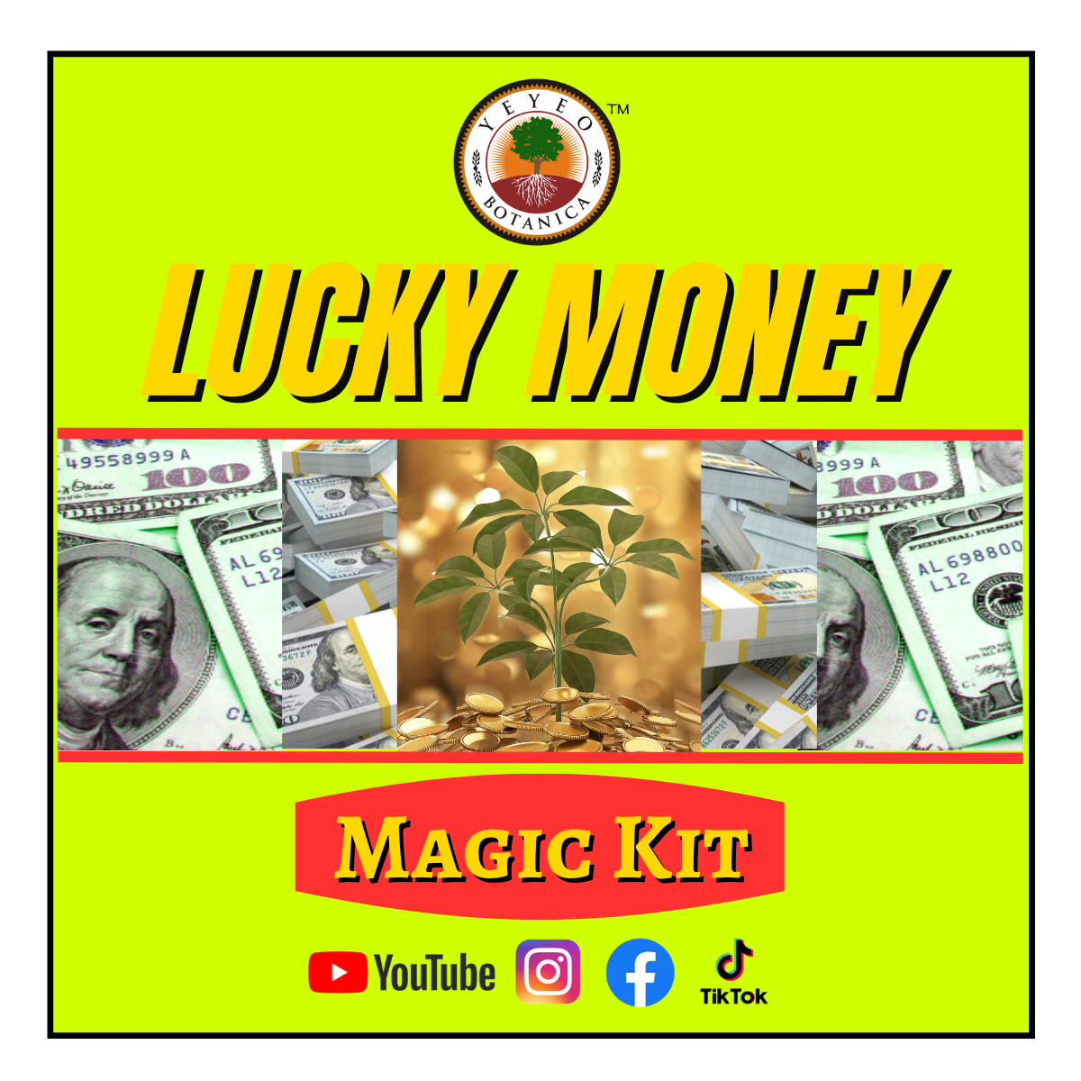 Lucky Money™ Magick Kit