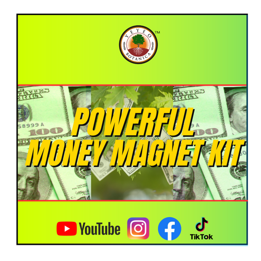 Money Magnet Kit